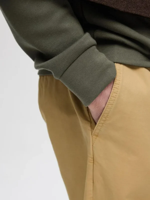 Hættetrøjer & Sweatshirts>SELECTED LANGÆRMET SWEATSHIRT Green