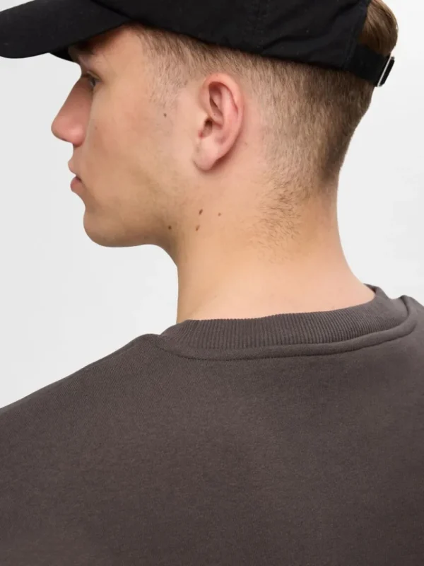 Hættetrøjer & Sweatshirts>SELECTED LANGÆRMET SWEATSHIRT Brown