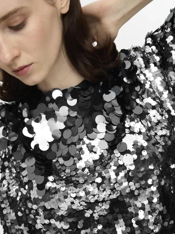 Toppe Og Bluser>SELECTED PAILLETTER KORT TOP Silver