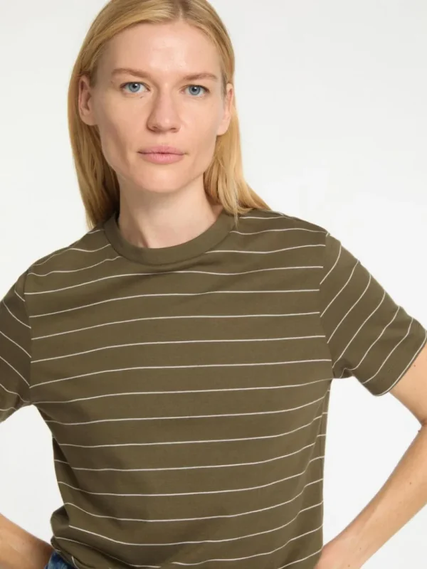 T-shirts>SELECTED STRIBET BOMULD T-SHIRT Green